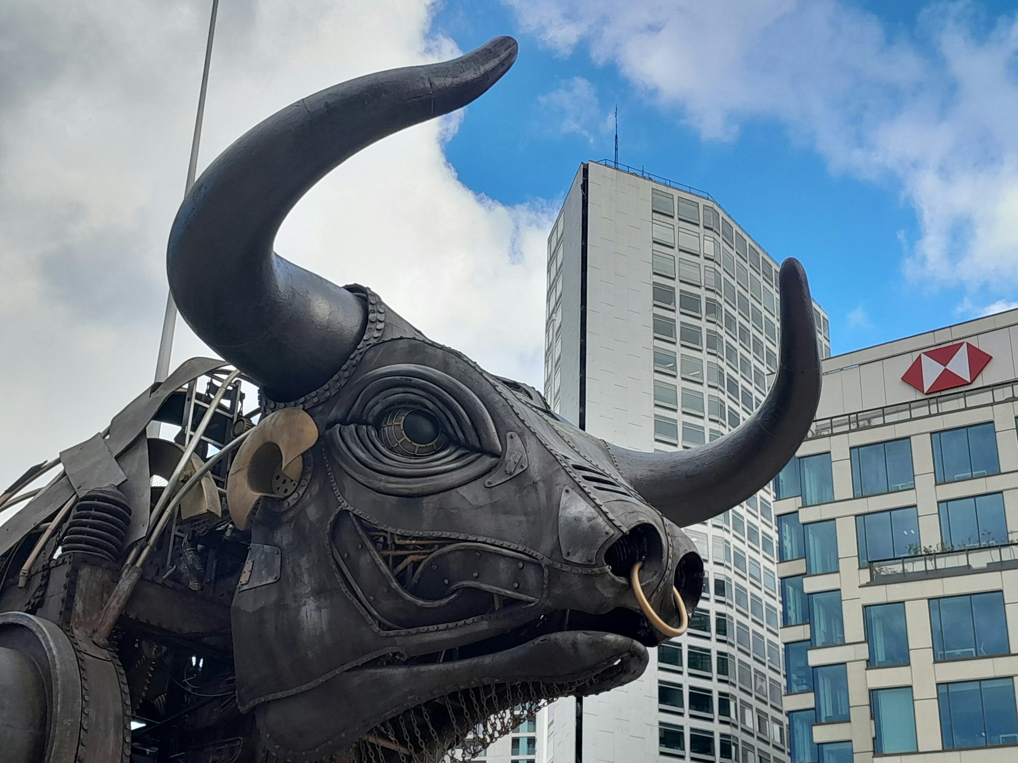 Birmingham-bull-img